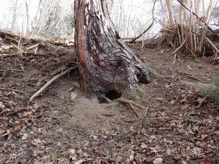 Snímek obrazovky z hudební interaktivní hry Lesofon